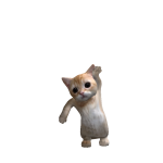 @Koalas_2323112