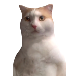 @SnzwFlzke