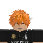 @theprogammer55o