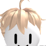 @robloxkuzeyxd