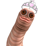 @KOALA22153