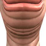 @99Jacobshaver