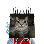 @roblox_user_100632731