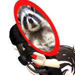 @raccoqn