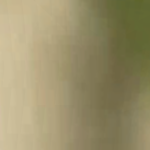 @ii_cathyyy