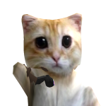 @Cupcakequeenplays123