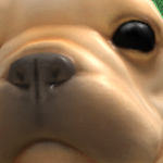 @xojabby