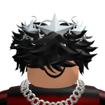 @NotRandomplayz6