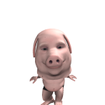 @qzcodyn