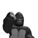 @Sports_Knight