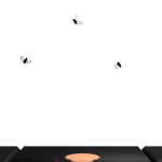 @foreignxq