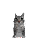 @restfuIspirit