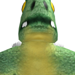 @i_dragonite