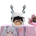 @ASPxN12