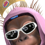 @lilpicklemane