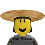 @DingWingWongChicken