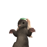 @Guineapigsrule4life