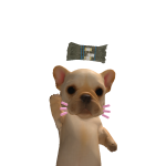 @ALEXA10BLOXER