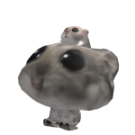 @JordyBozz