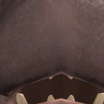 @largoraptor2
