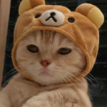 @DragonwolfieGacha123