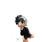 @rr22af22