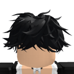 @robloxcatbradham
