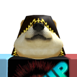 @GoldDoge08