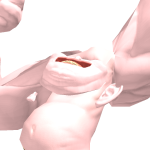 @ryanlovesroblox