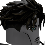 @roblox_user_1688768941