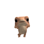 @leylapoppydog