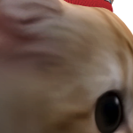 @zhyawaited