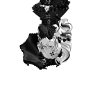 @Rexy66677