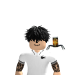amir
