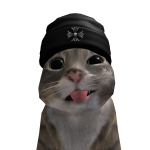 @rizztotrash12334