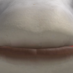 @Salmon0211