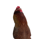 @voltaoi000000