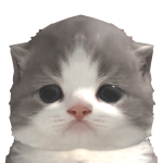 @CooldudeF67