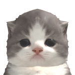 @reqmov