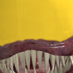 @Polmjgfsst