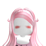 @toyfoxygamer300