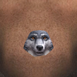 @NfEIfnGDSkOzE