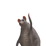 @bumbblebeezz