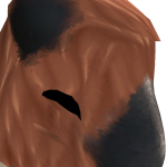 @curtbangis