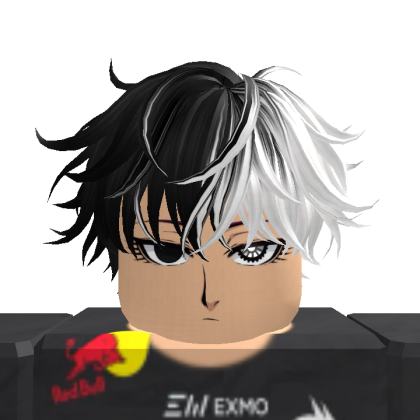 Roblox profile picture for @Zetrik46