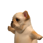 @MrKiwiiiiii