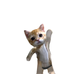 @Cutie35086