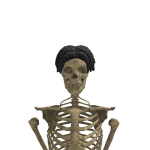 @chinacatboy101