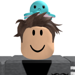 @roblox_user_2493578816