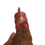 @P1nkl1pgl0zz